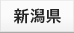 新潟県