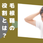 毛根鞘の役割とは 食べる人もいる 抜け毛 薄毛との関係性は スーパースカルプ発毛センター