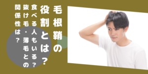 毛根が死んでいる はウソ 毛根は死んでいません 細い産毛を製造し続けています スーパースカルプ発毛センター